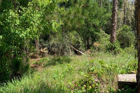 Land in Sebring, Florida № 1807978 - photo 3