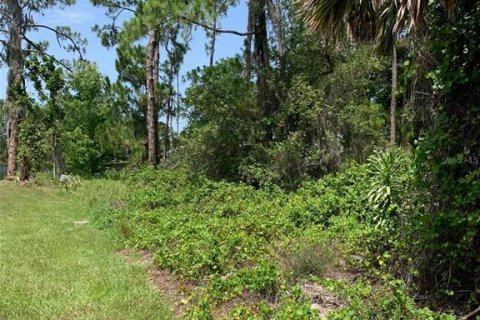 Land in Sebring, Florida № 1807978 - photo 8