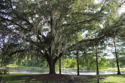 House in Elkton, Florida 3 bedrooms, 161.84 sq.m. № 1721963 - photo 12