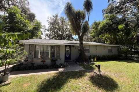 Villa ou maison à Thonotosassa, Floride 3 chambres, 165.18 m2 № 2389334