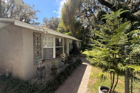 Villa ou maison à vendre à Thonotosassa, Floride: 3 chambres, 165.18 m2 № 2389334 - photo 3