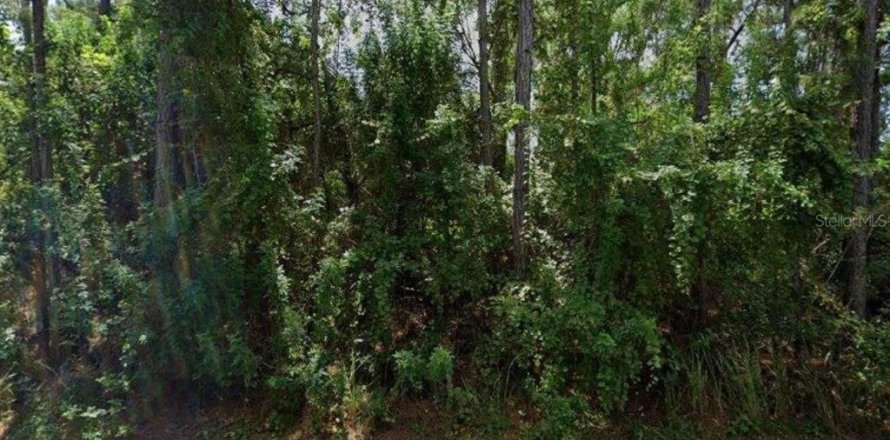 Land in Palm Bay, Florida № 2160396