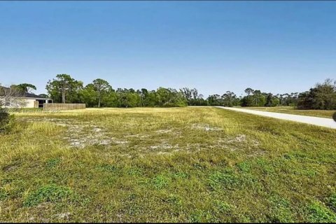 Terreno en venta en Cape Coral, Florida № 1983315 - foto 7
