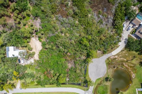 Terreno en venta en Oldsmar, Florida № 1785238 - foto 11