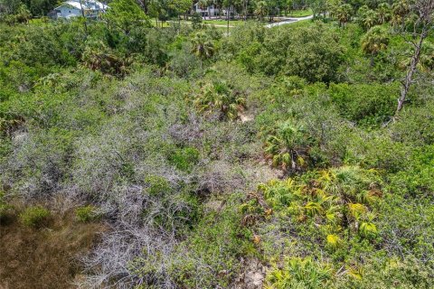 Terreno en venta en Oldsmar, Florida № 1785238 - foto 22