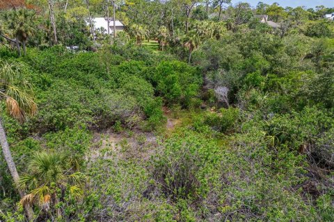 Terreno en venta en Oldsmar, Florida № 1785238 - foto 27