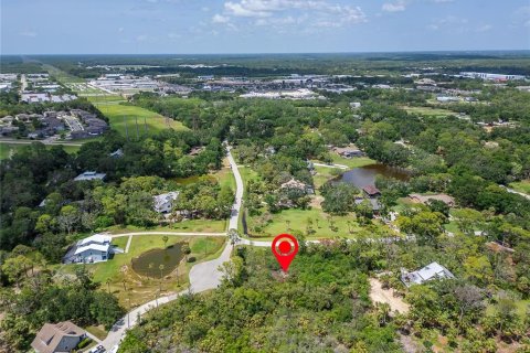 Terreno en venta en Oldsmar, Florida № 1785238 - foto 12