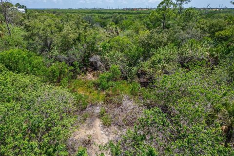 Terreno en venta en Oldsmar, Florida № 1785238 - foto 26