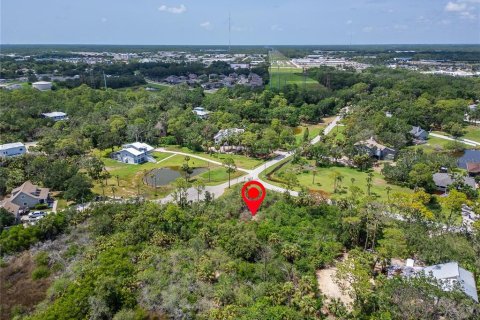 Terreno en venta en Oldsmar, Florida № 1785238 - foto 15