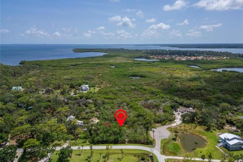 Terreno en venta en Oldsmar, Florida № 1785238 - foto 8