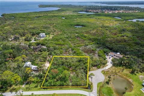 Terreno en venta en Oldsmar, Florida № 1785238 - foto 9