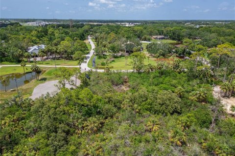 Terreno en venta en Oldsmar, Florida № 1785238 - foto 17
