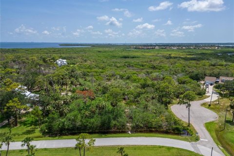 Terreno en venta en Oldsmar, Florida № 1785238 - foto 6