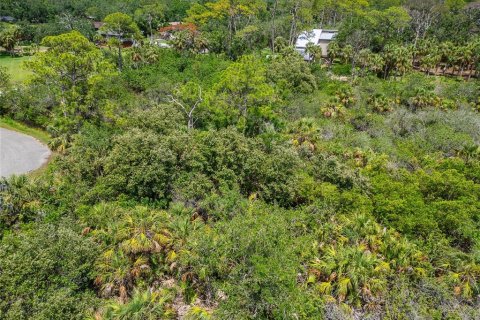 Terreno en venta en Oldsmar, Florida № 1785238 - foto 19