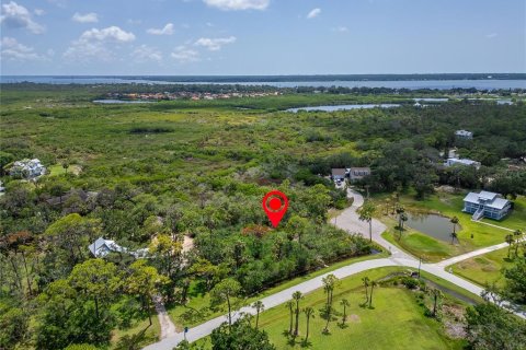 Terreno en venta en Oldsmar, Florida № 1785238 - foto 10