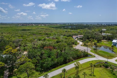 Terreno en venta en Oldsmar, Florida № 1785238 - foto 5