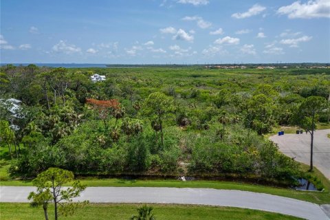 Terreno en venta en Oldsmar, Florida № 1785238 - foto 3