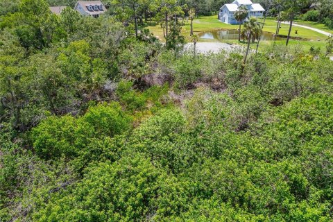 Terreno en venta en Oldsmar, Florida № 1785238 - foto 23