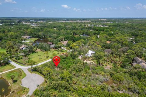 Terreno en venta en Oldsmar, Florida № 1785238 - foto 14