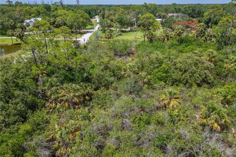 Terreno en venta en Oldsmar, Florida № 1785238 - foto 20