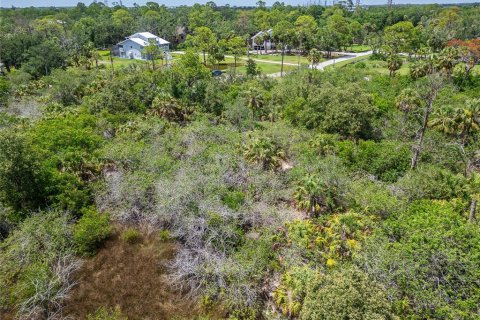 Terreno en venta en Oldsmar, Florida № 1785238 - foto 21