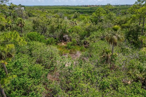 Terreno en venta en Oldsmar, Florida № 1785238 - foto 25