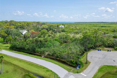 Terreno en venta en Oldsmar, Florida № 1785238 - foto 1