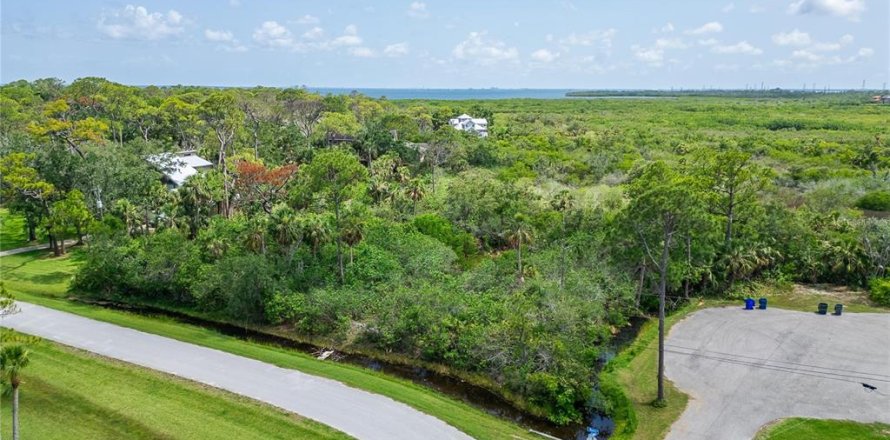 Terreno en Oldsmar, Florida № 1785238