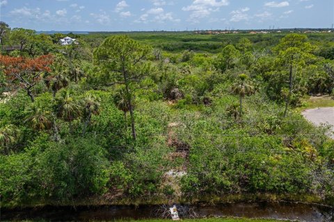 Terreno en venta en Oldsmar, Florida № 1785238 - foto 24