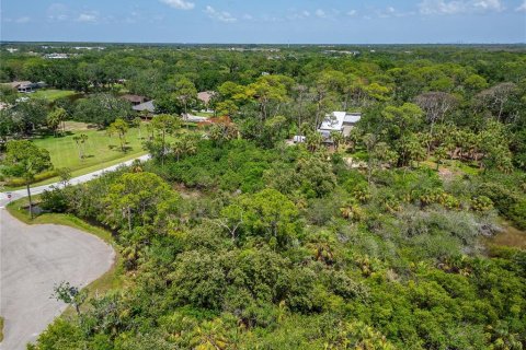 Terreno en venta en Oldsmar, Florida № 1785238 - foto 18