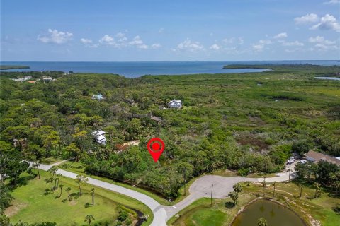 Terreno en venta en Oldsmar, Florida № 1785238 - foto 2