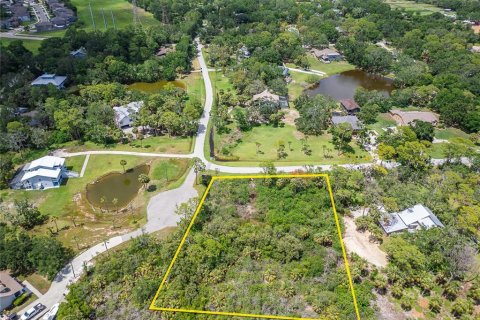 Terreno en venta en Oldsmar, Florida № 1785238 - foto 13