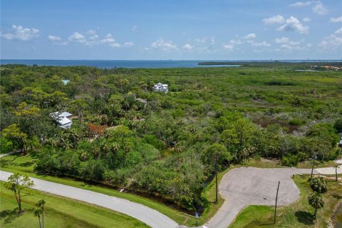 Terreno en venta en Oldsmar, Florida № 1785238 - foto 7