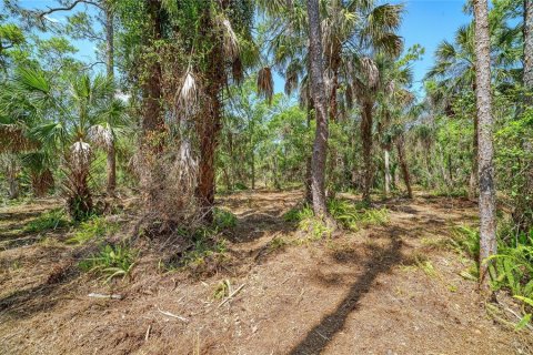 Terreno en venta en Bradenton, Florida № 2099858 - foto 10
