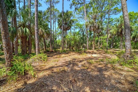 Terreno en venta en Bradenton, Florida № 2099858 - foto 11
