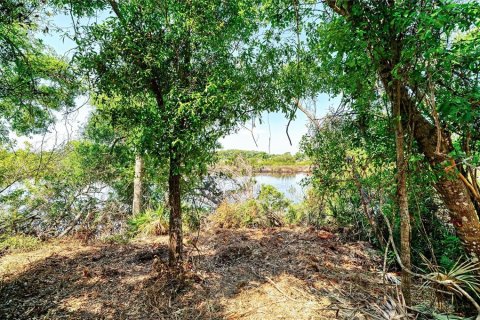 Terreno en venta en Bradenton, Florida № 2099858 - foto 8