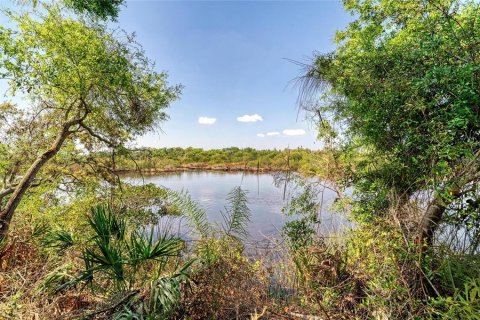 Terreno en venta en Bradenton, Florida № 2099858 - foto 6