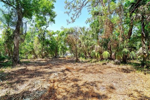 Terreno en venta en Bradenton, Florida № 2099858 - foto 7