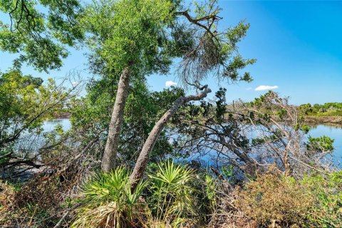 Terreno en venta en Bradenton, Florida № 2099858 - foto 9