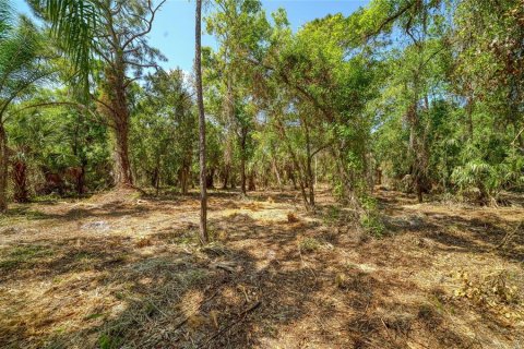 Terreno en venta en Bradenton, Florida № 2099858 - foto 12