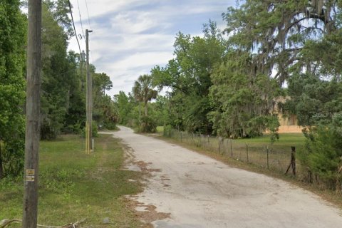 Terrain à Homosassa, Floride № 2362660