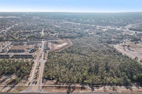Terreno en venta en Weeki Wachee, Florida № 2117129 - foto 8
