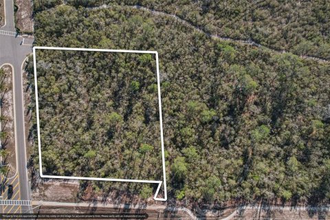 Terreno en venta en Weeki Wachee, Florida № 2117129 - foto 3