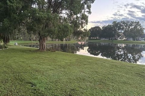 House in New Port Richey, Florida 2 bedrooms, 111.48 sq.m. № 2416650 - photo 29