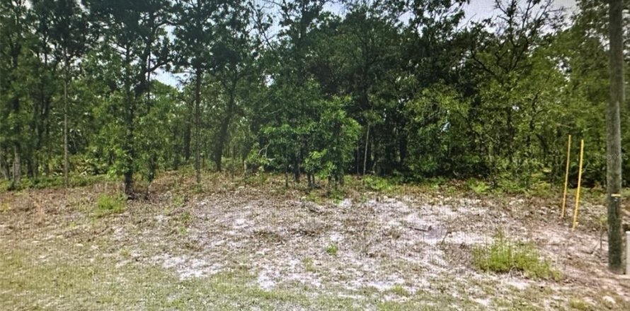 Land in Citrus Springs, Florida № 1295309