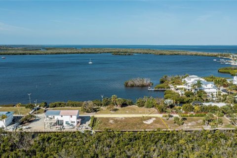 Land in Bokeelia, Florida № 1030061 - photo 14