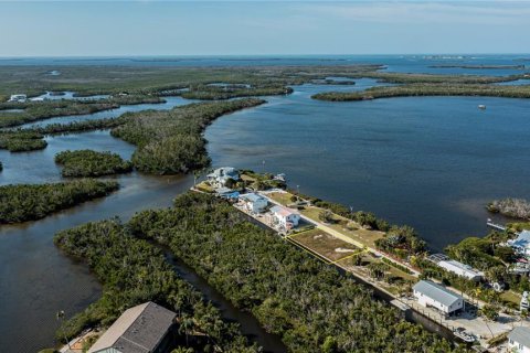 Land in Bokeelia, Florida № 1030061 - photo 3