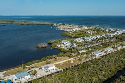 Land in Bokeelia, Florida № 1030061 - photo 15