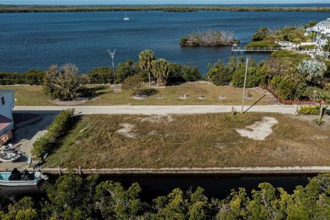 Land in Bokeelia, Florida № 1030061 - photo 4