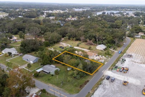 Land in Umatilla, Florida № 1798686 - photo 4